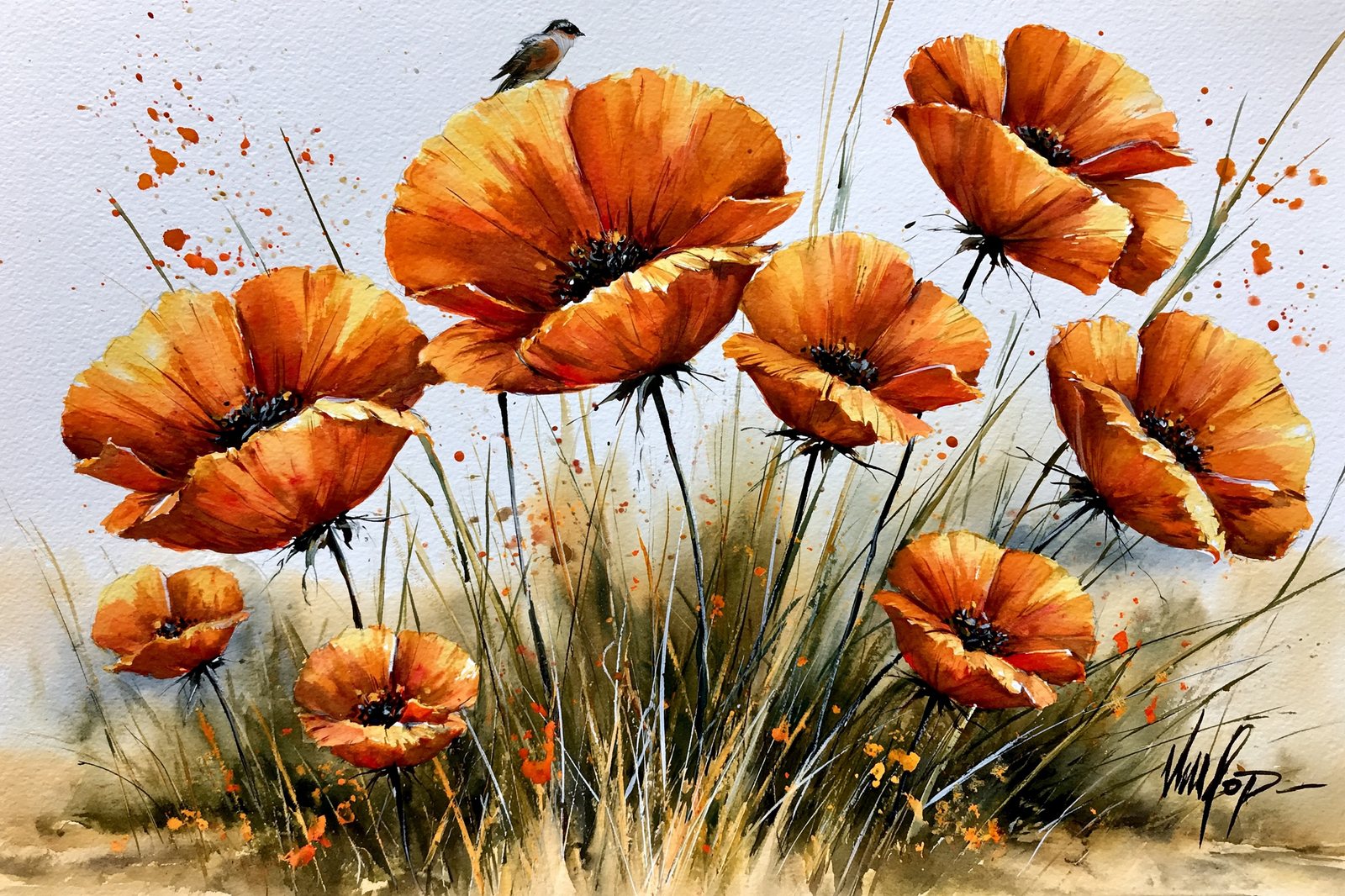 loose watercolor poppies